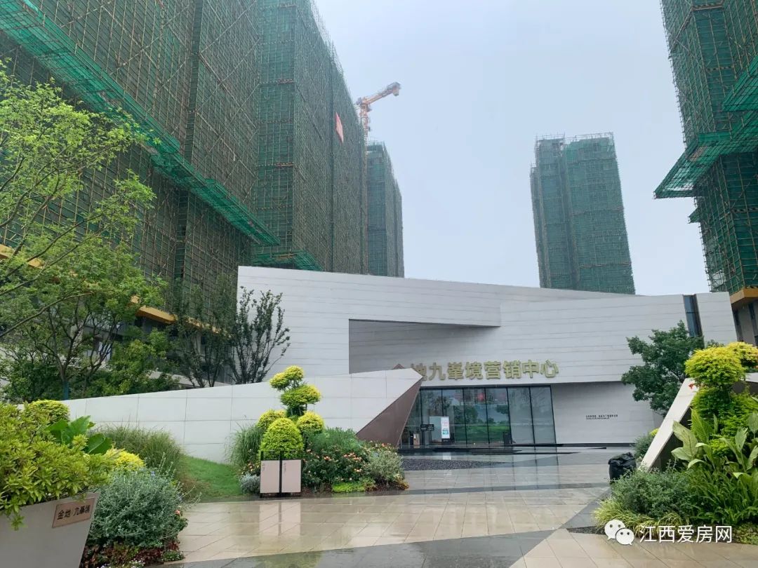 地市的朋友，依然鐘愛九龍湖！