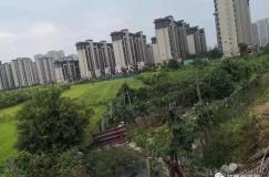 商改??！南昌閑置回收地塊再次上線競拍！新建區(qū)宅地單價下調(diào)！