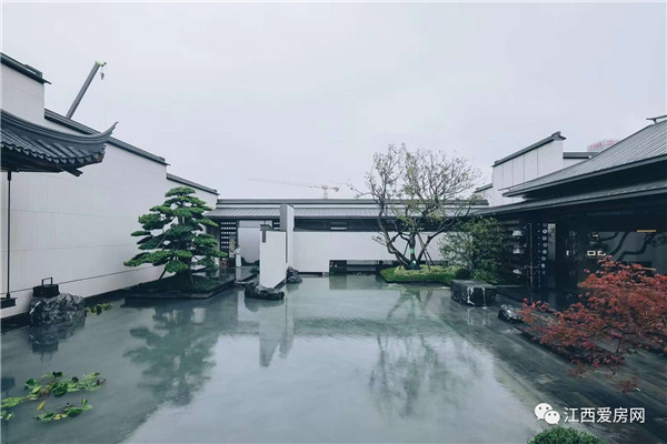 建發(fā)第三朵云~終于亮相了！