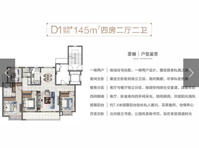 D1-145㎡