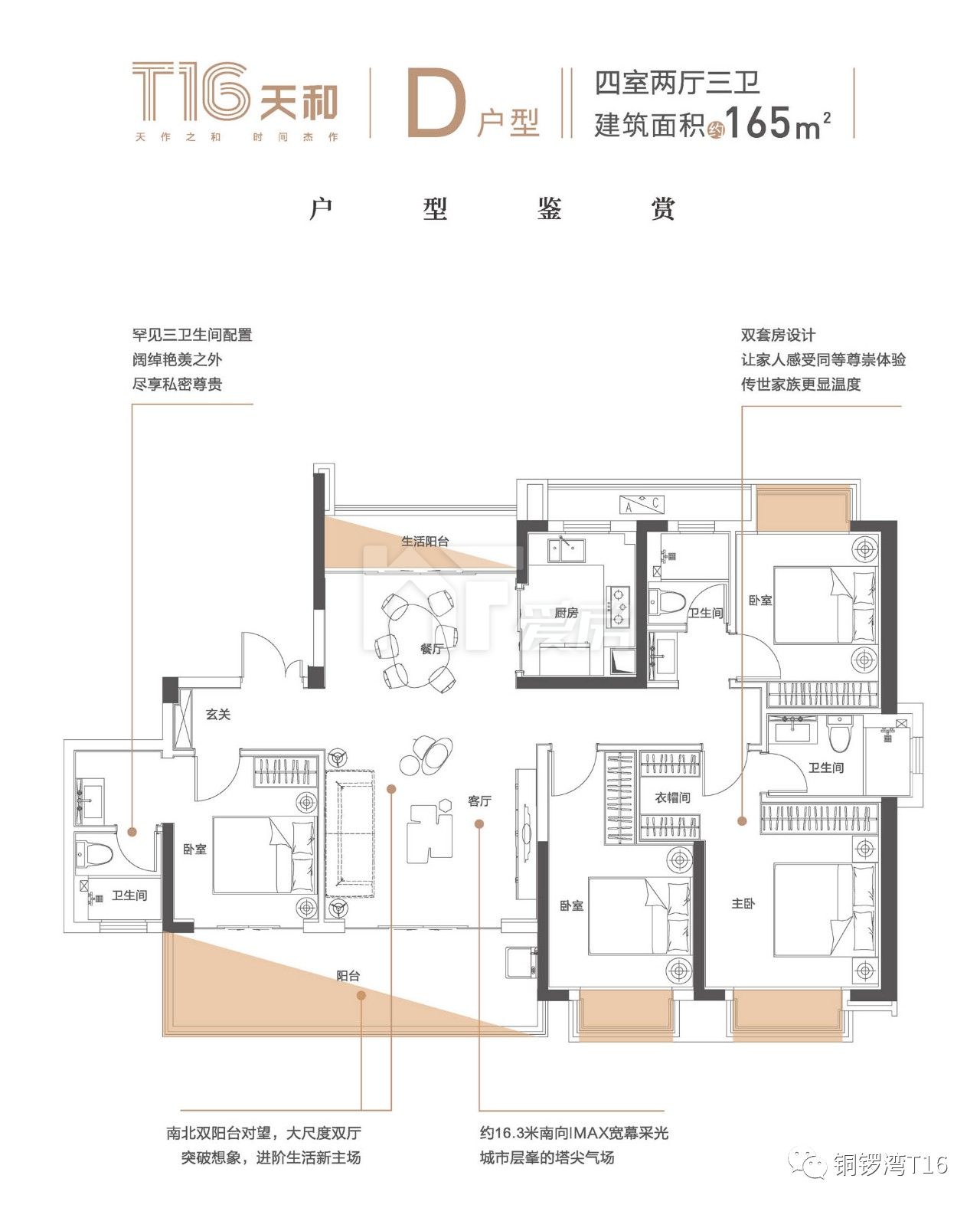 165㎡戶型